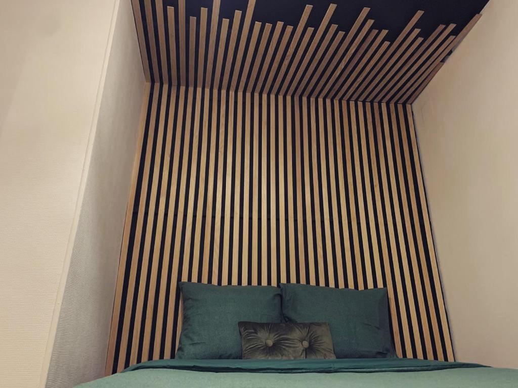 Superbe Duplex En Plein Coeur De Nancy Нанси Екстериор снимка